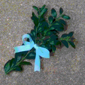 Plochá spojka na svatbu. Foto: Vseolodich.cz.